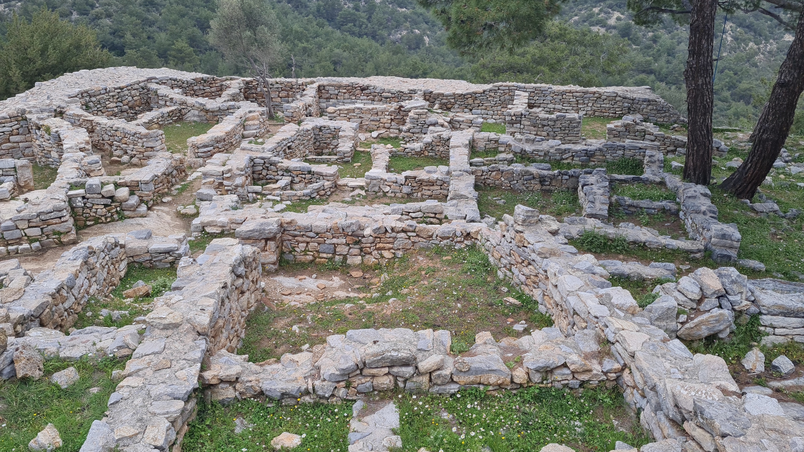 Muğla’nın Bodrum ilçesinde önemli