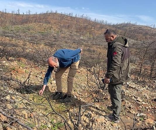 Muğla’nın Datça ilçesinde meydana