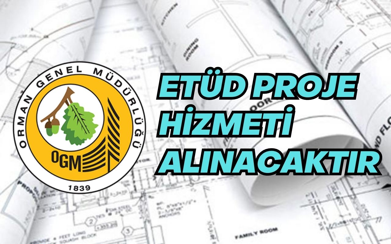 ETÜD PROJE HİZMETİ ALINACAKTIR