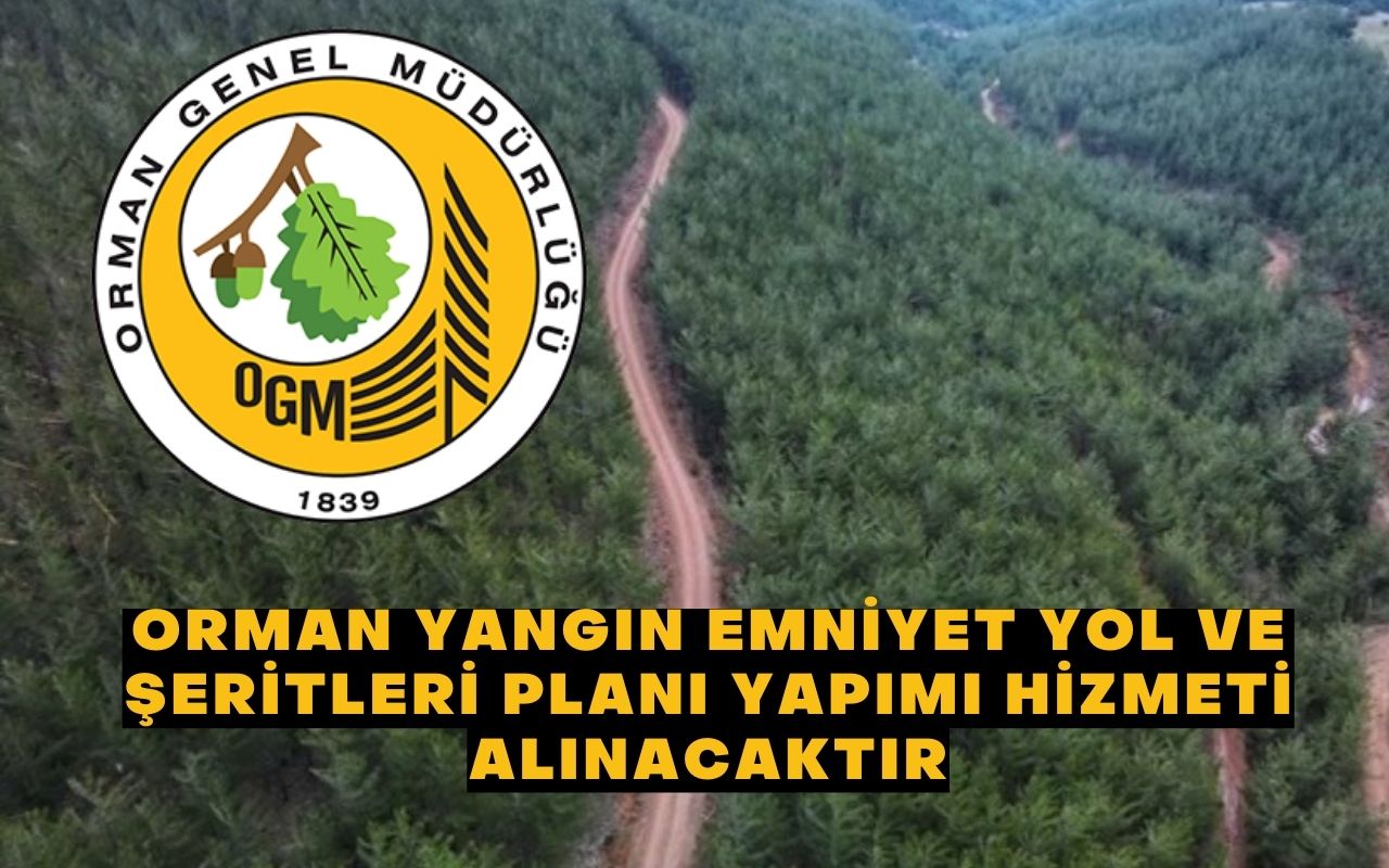 ORMAN YANGIN EMNİYET YOL