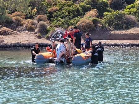 Muğla’nın Bodrum ilçesindeki adada