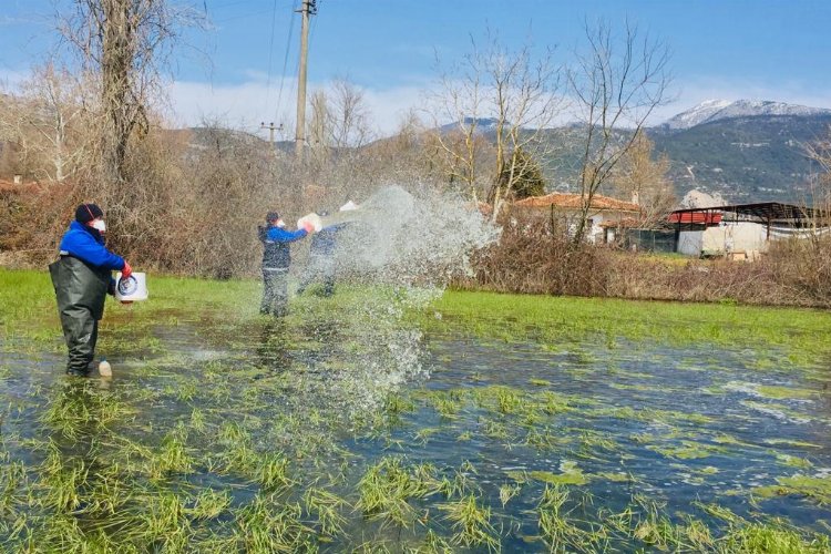 Muğla Büyükşehir Belediyesi devam