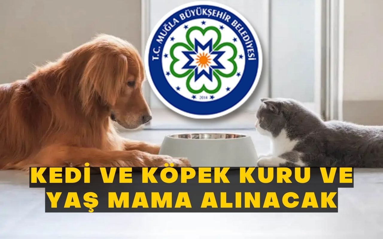 KEDİ VE KÖPEK KURU