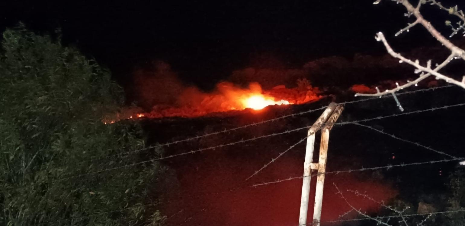 Muğla’nın Bodrum ilçesinde makilik