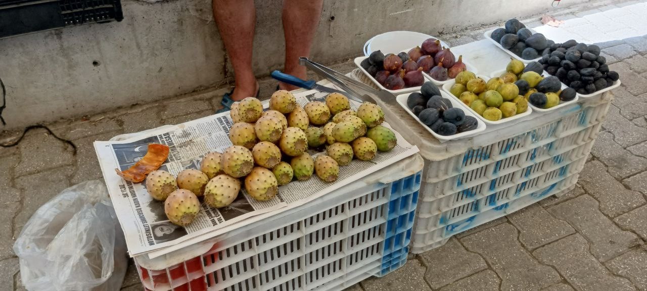 Ege ve Akdeniz Bölgesi’nde