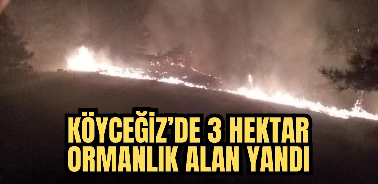 Muğla’nın Köyceğiz ilçesinde gece