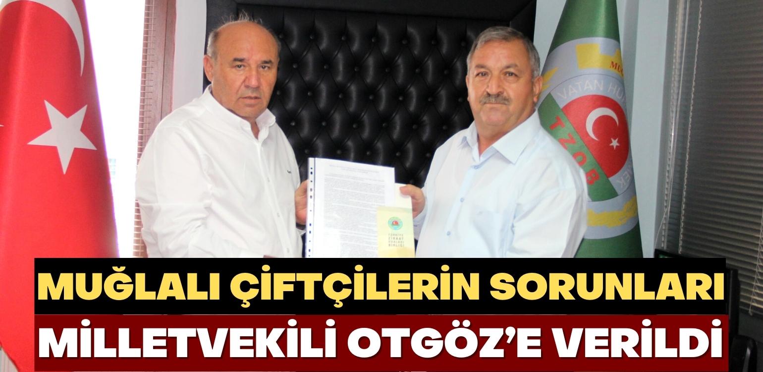 Muğla İli Ziraat Odaları