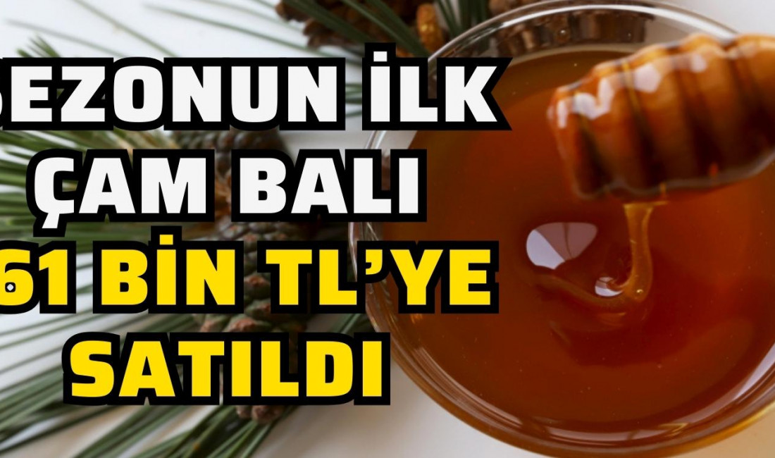 Önemli çam balı üretim