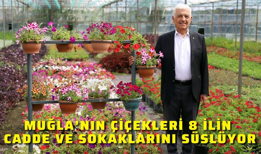 Muğla Büyükşehir Belediyesi ve