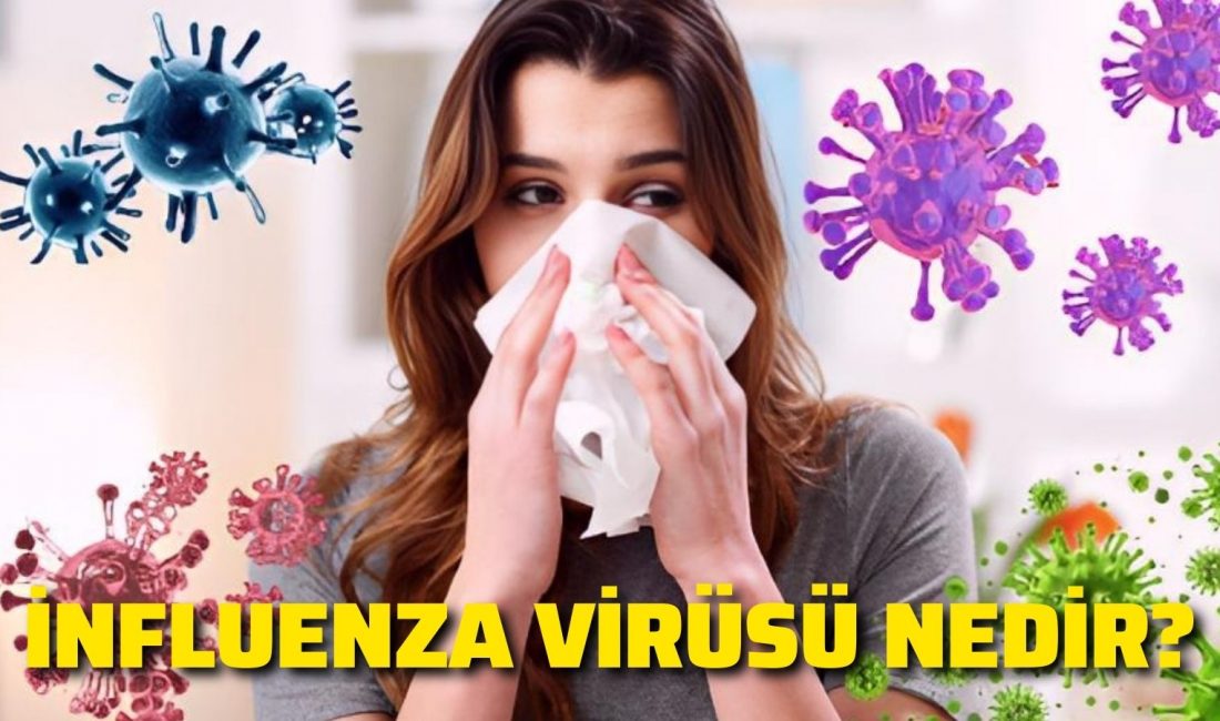 İnfluenza; Halk arasında grip