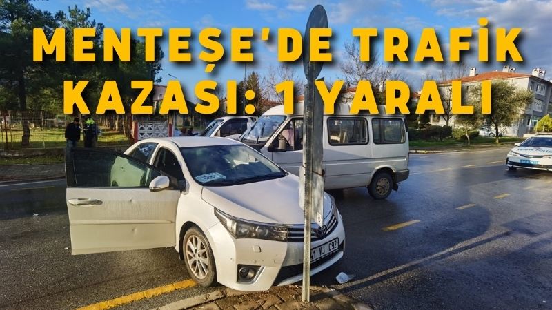 Muğla’nın Menteşe ilçesinde ticari