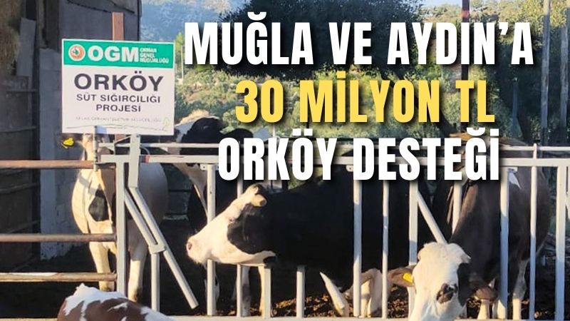 Muğla Orman Bölge Müdürlüğünde