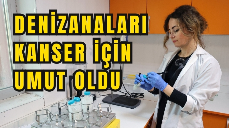 Muğla Sıtkı Koçman Üniversitesi