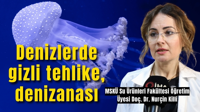 Küresel iklim değişikliğinin bir