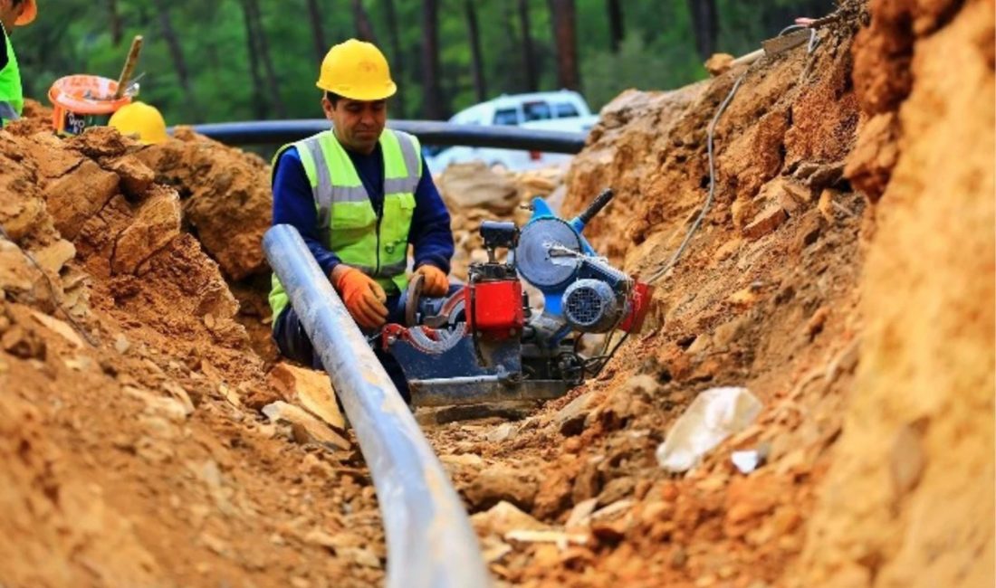 Muğla Büyükşehir Belediye Başkanı