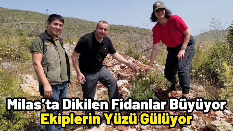 Muğla’nın Milas ilçesinde çıkan