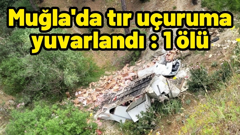 Muğla’nın Milas ilçesinde uçurumdan