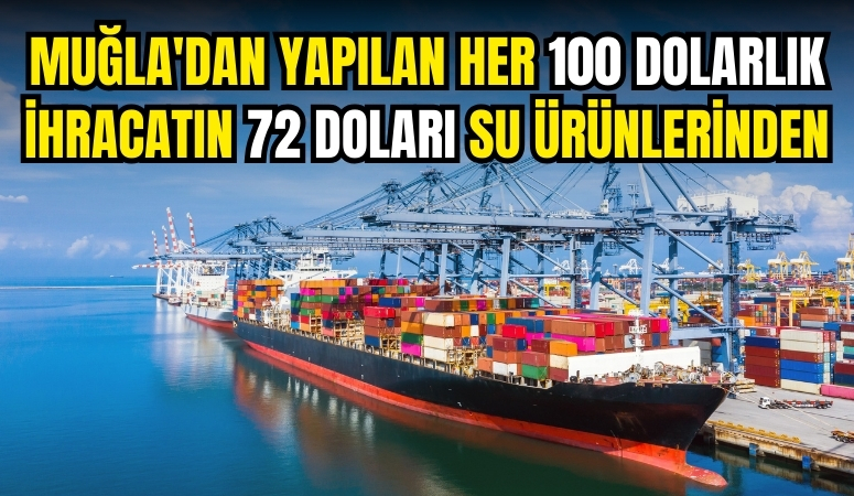 Türkiye, 2024 yılının Ocak-Nisan