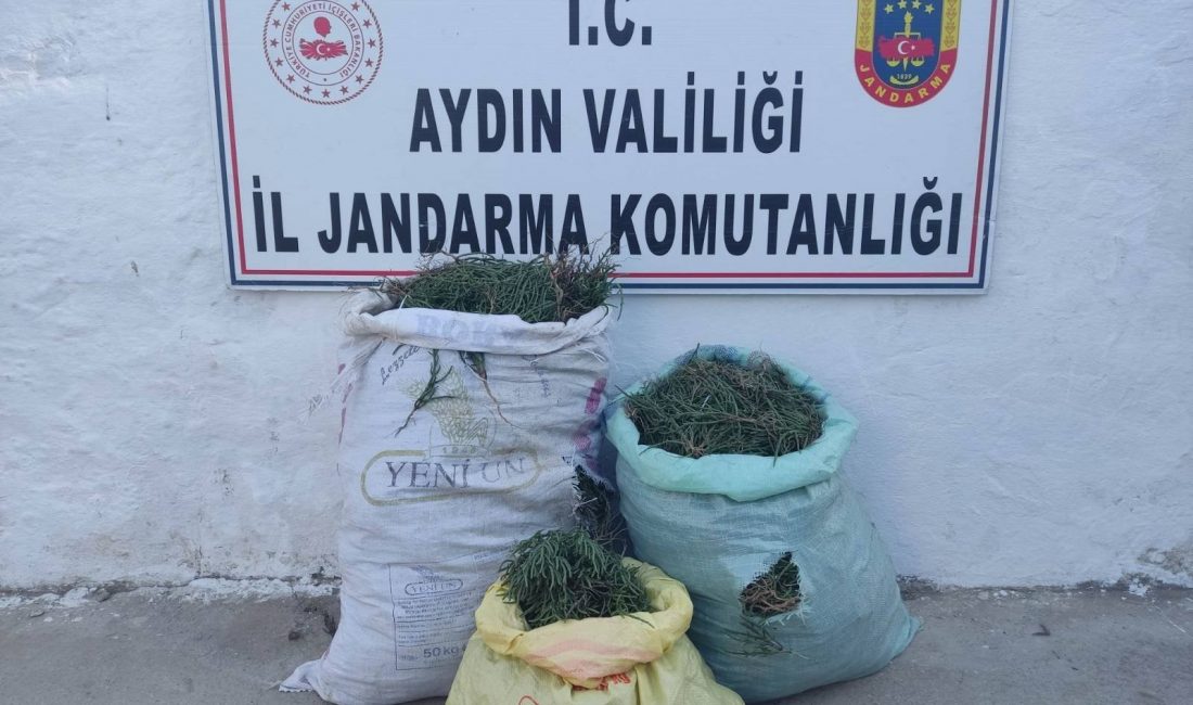 Aydın’ın Didim ilçesinde jandarma