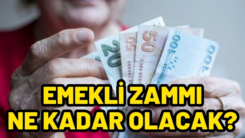 Memur ve emeklilere yapılacak