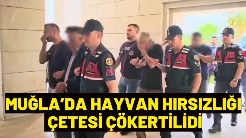 Muğla’nın Milas ilçesinde jandarma