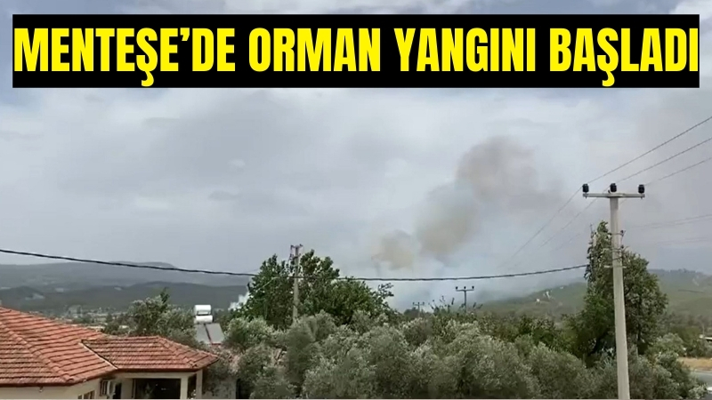 Muğla’nın Menteşe ilçesi Gazeller