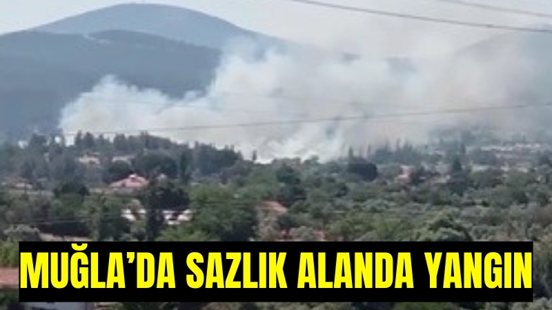 Muğla’nın Yatağan ilçesinde sazlık