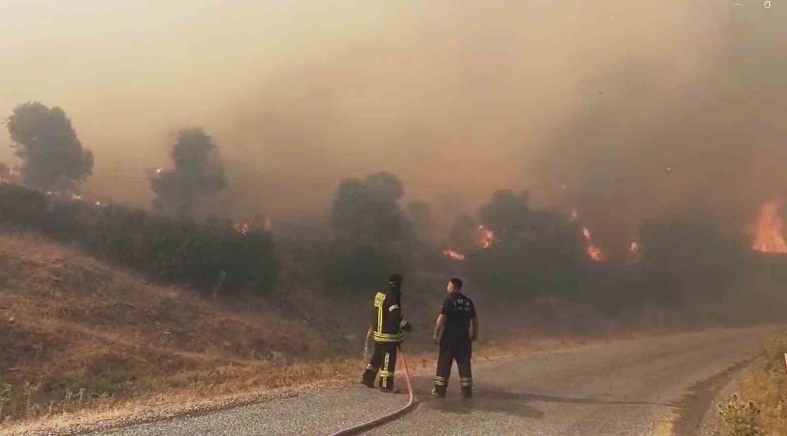 Son Dakika… Aydın’ın Çine ilçesinde orman yangını