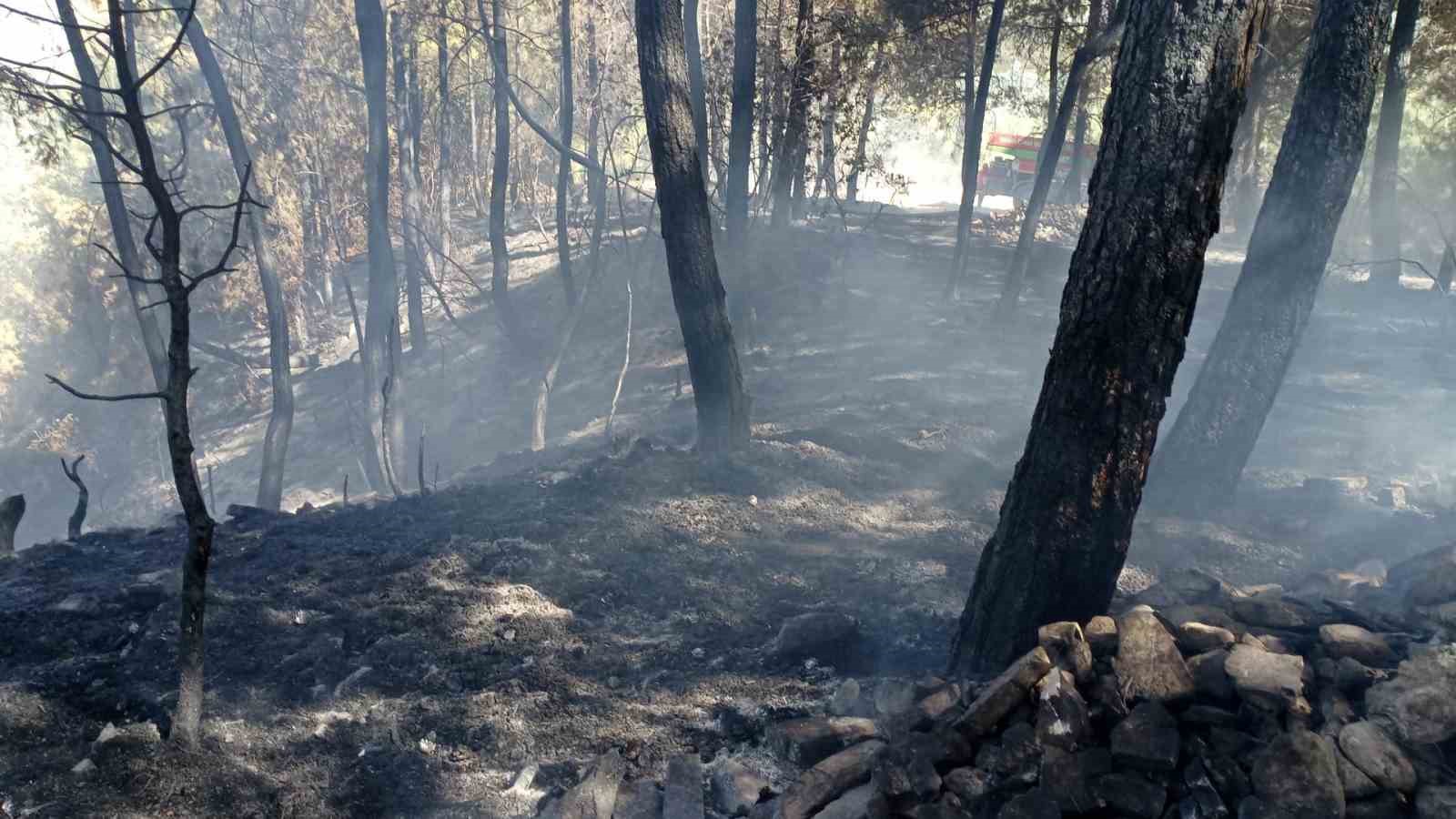 Denizli’de ormanlık alanda çıkan yangın büyümeden söndürüldü