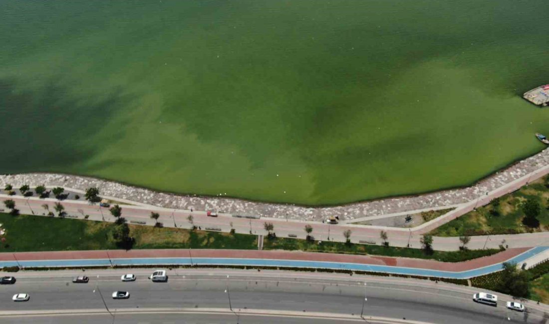 İzmir’in iki farklı ilçesinin