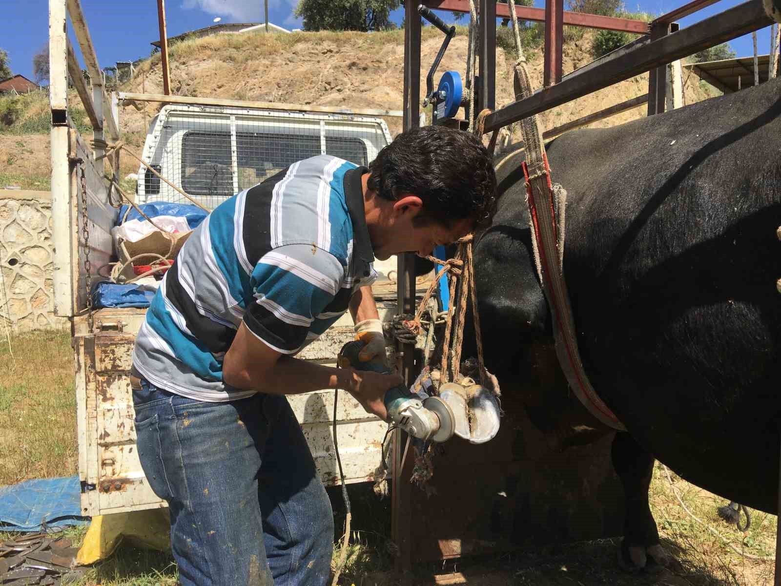 Mahalle mahalle gezip tırnak bakımı yapıyor