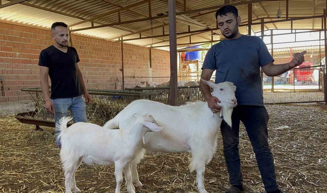 Manisa’da yaklaşık 3 yaşındaki