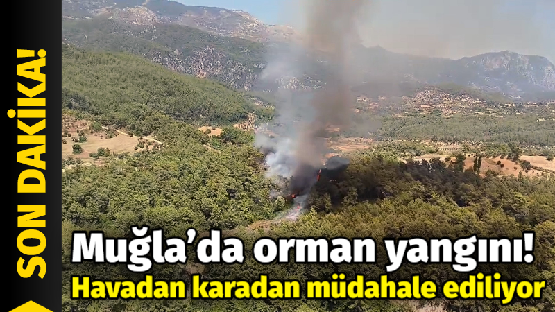 Muğla’nın Milas ilçesinde 14.30