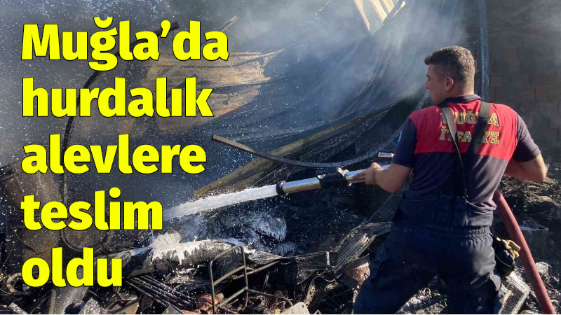 Muğla’da hurdalık alevlere teslim oldu