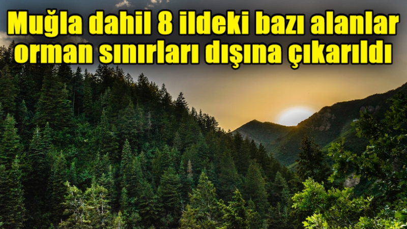 Muğla dahil 8 ildeki bazı alanlar orman sınırları dışına çıkarıldı