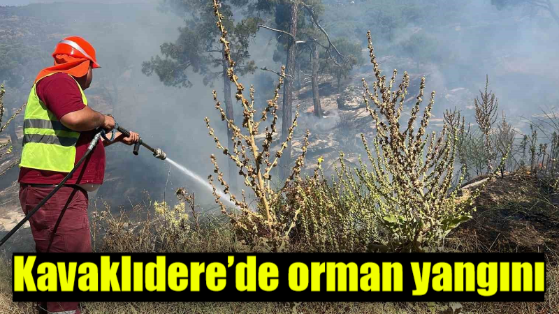 Kavaklıdere’de orman yangını