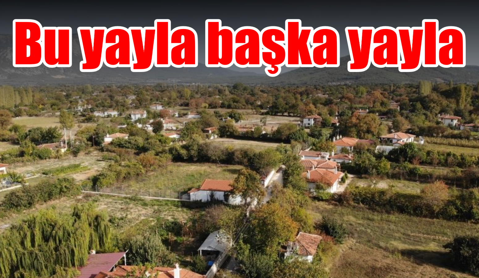 Bu yayla başka yayla