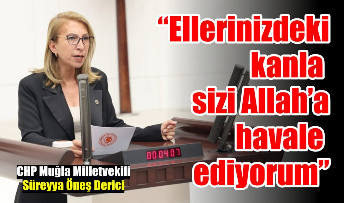 CHP Muğla Milletvekili Süreyya