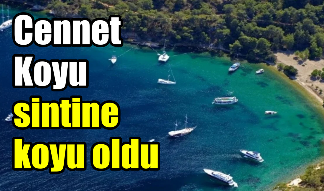 Bodrum’un ünlü Cennet Koyu,