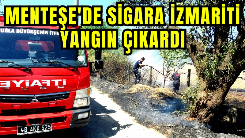 Muğla’nın Menteşe ilçesinde yol