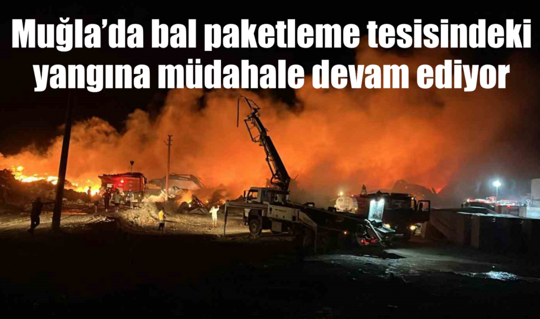 Muğla’nın Köyceğiz ilçesinde sanayi