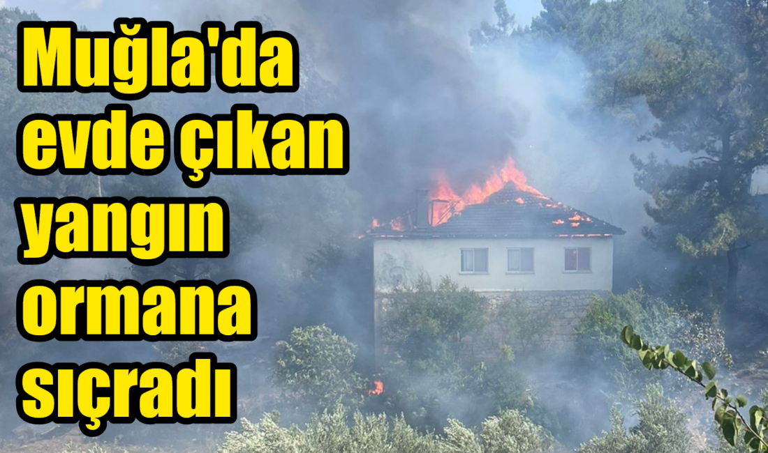 Muğla’nın Köyceğiz ilçesinde bir