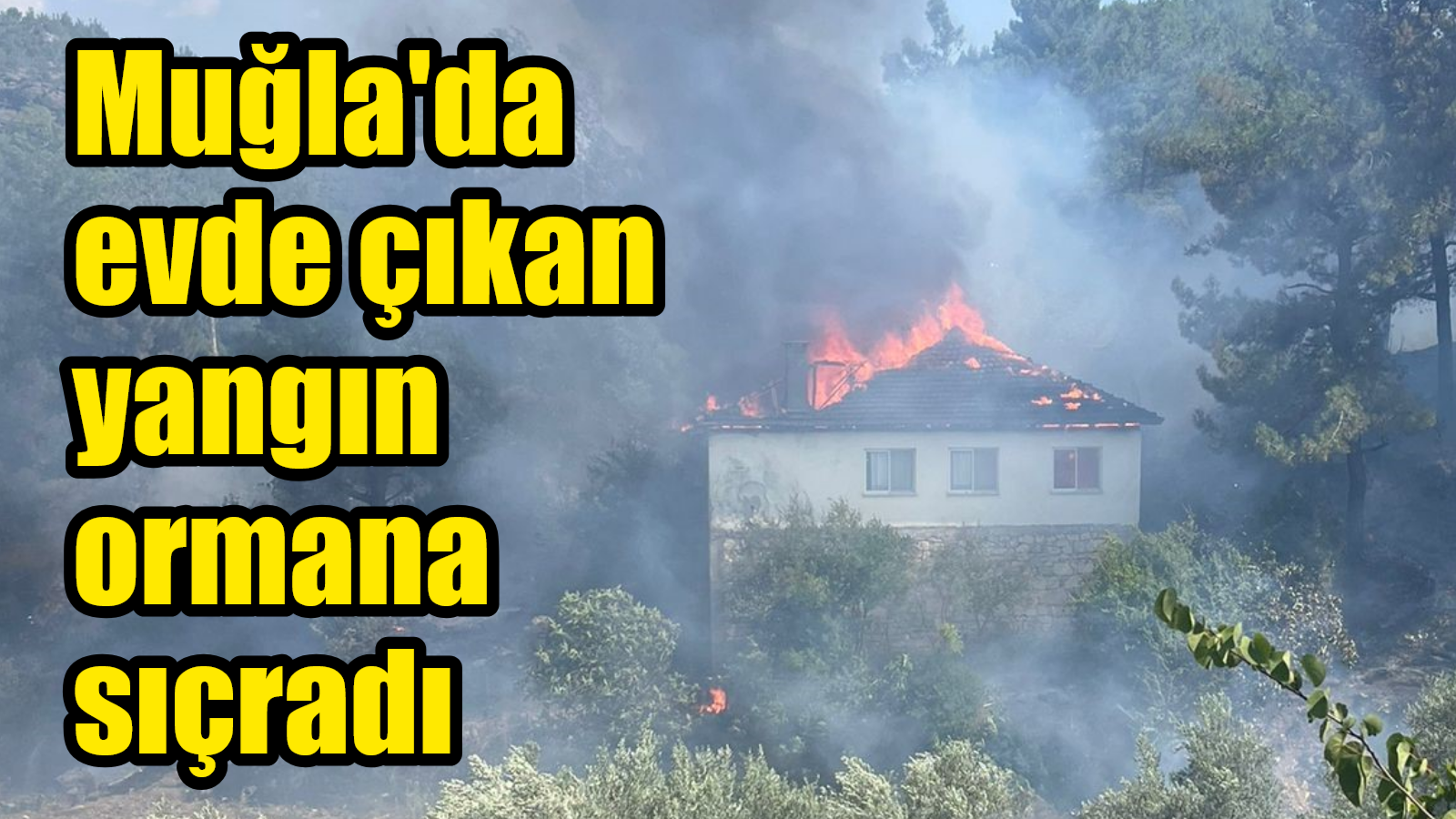 Muğla’da evde çıkan yangın ormana sıçradı