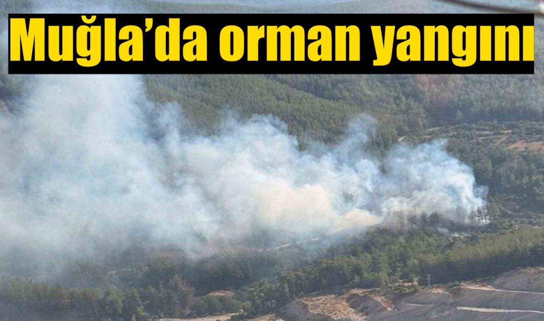 Muğla’nın Milas ilçesinde akşam