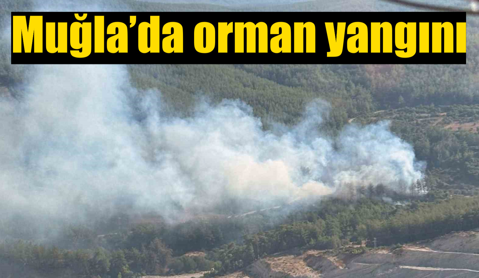 Muğla’da orman yangını