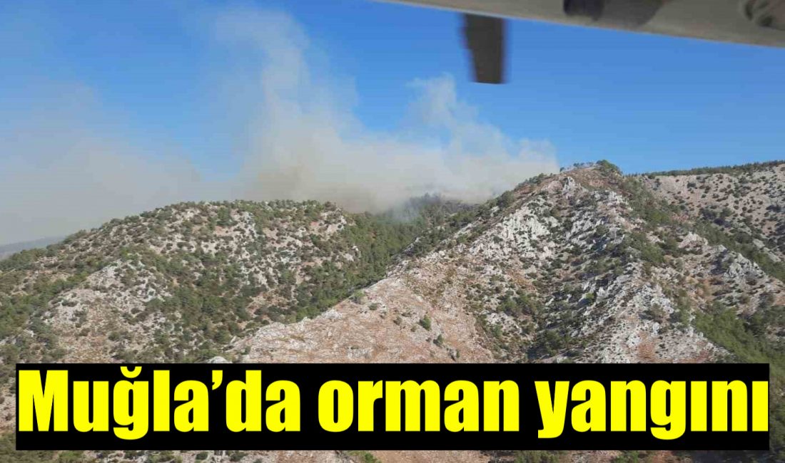 Muğla’nın Milas ilçesinde orman