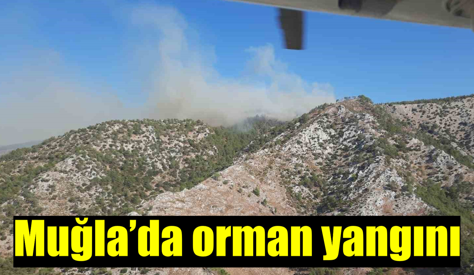 Muğla’da orman yangını