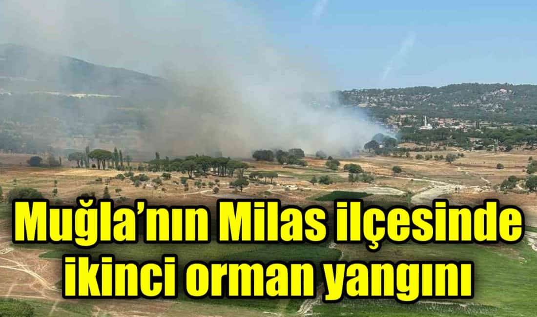 Muğla’nın Milas ilçesinde sabah