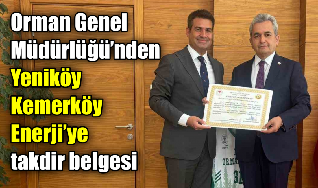 Yeniköy Kemerköy Enerji, Orman