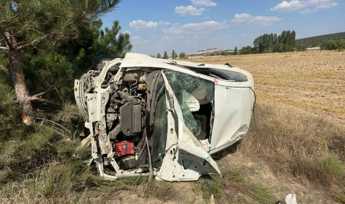 Afyonkarahisar’ın Emirdağ ilçesinde kontrolden